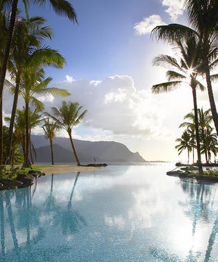 YesTo_MainOpener_460x552