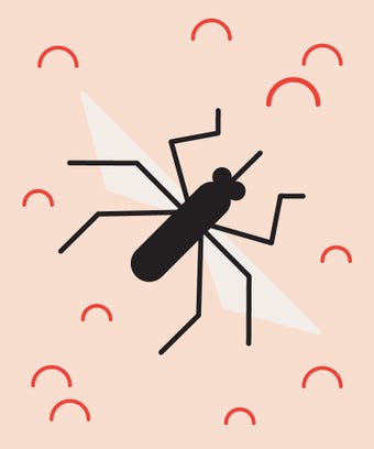mosquito_opener_final