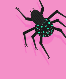 Sudit_Anna_What_You_Should_Know_About_Lyme_Disease_opener_040616