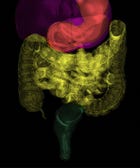 The Not-So-Gross Guide To Your Poop