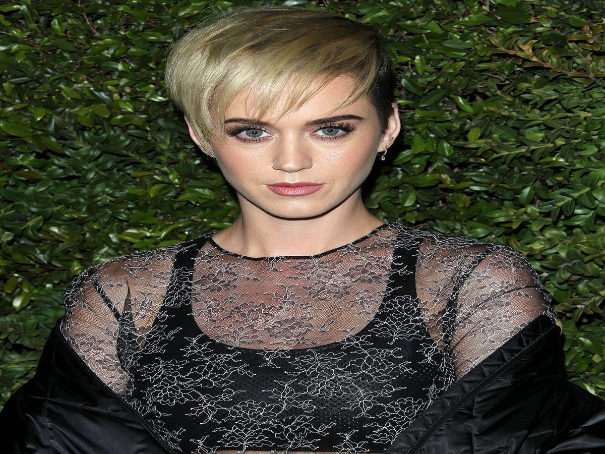 Katy Perry's Dog Has A New Job & Makes More Money Than You