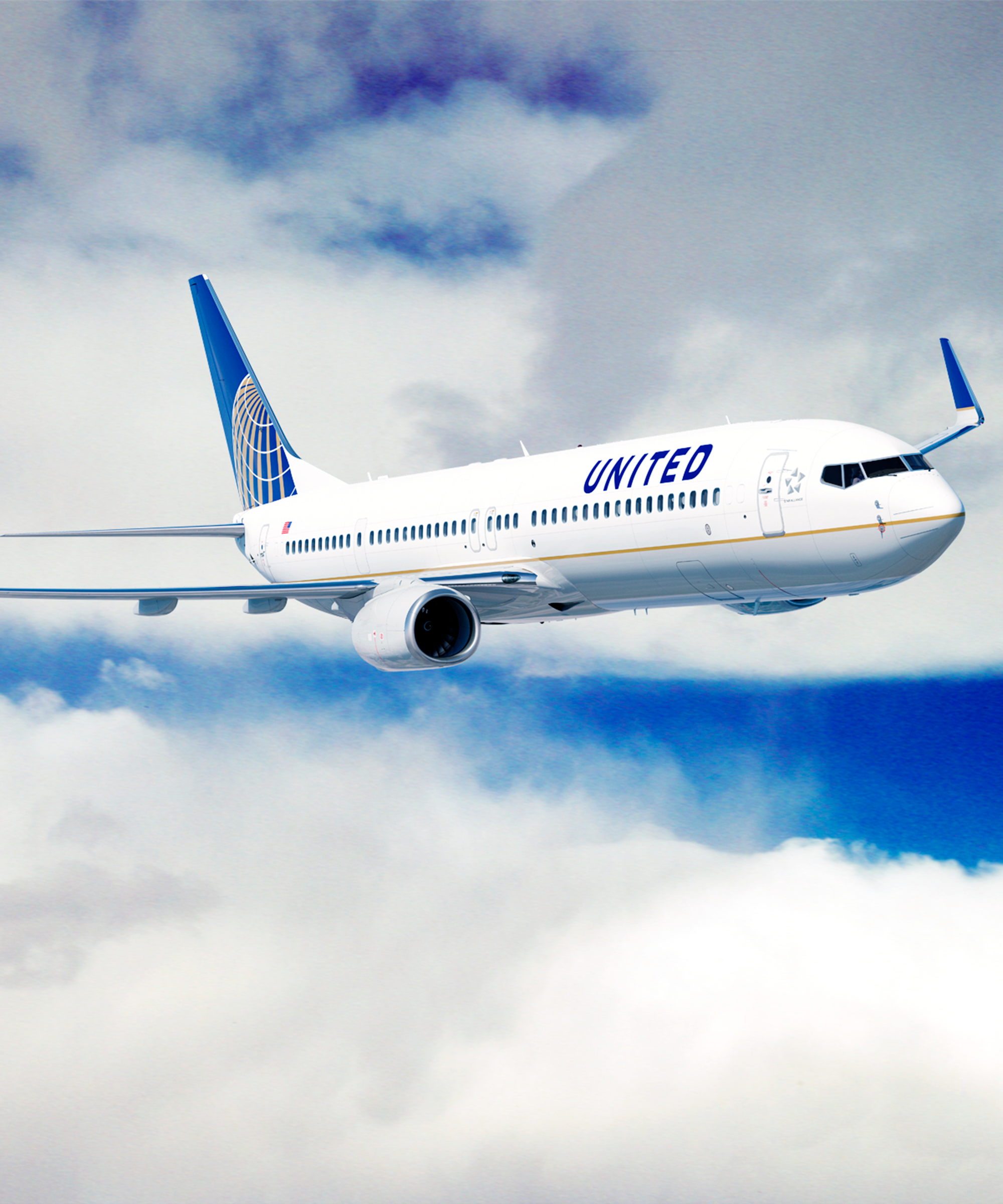 A Giant Rabbit Died On A United Airlines Flight