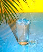 6 Hydration Myths & What You Need To Know