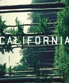 Will This Book Be The Next Big Read?