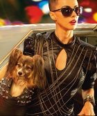 This Red-Hot Brazilian Export Is Hitting Century City &mdash;&nbsp;In Serious Style