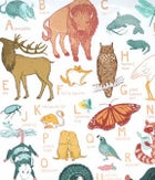 Celebrate Little Otsu's Pop-Up Shop At Rare Device!