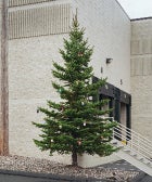 Urban Outfitters' Clothesless Holiday Lookbook