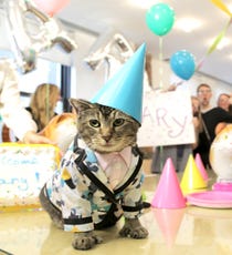 opener_858A4105_JackPearce