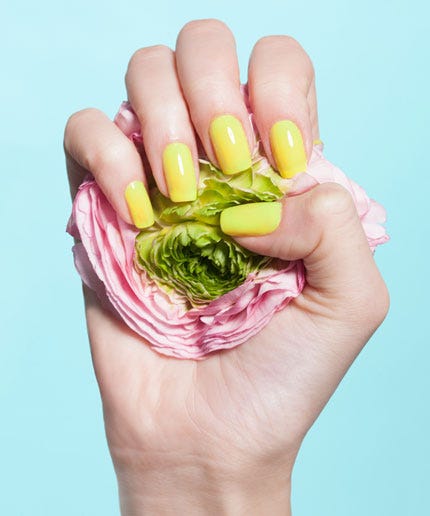 5 Things To Know About Sac Nails Angie S List All The Essentials For Creating Uv Gel Nails
