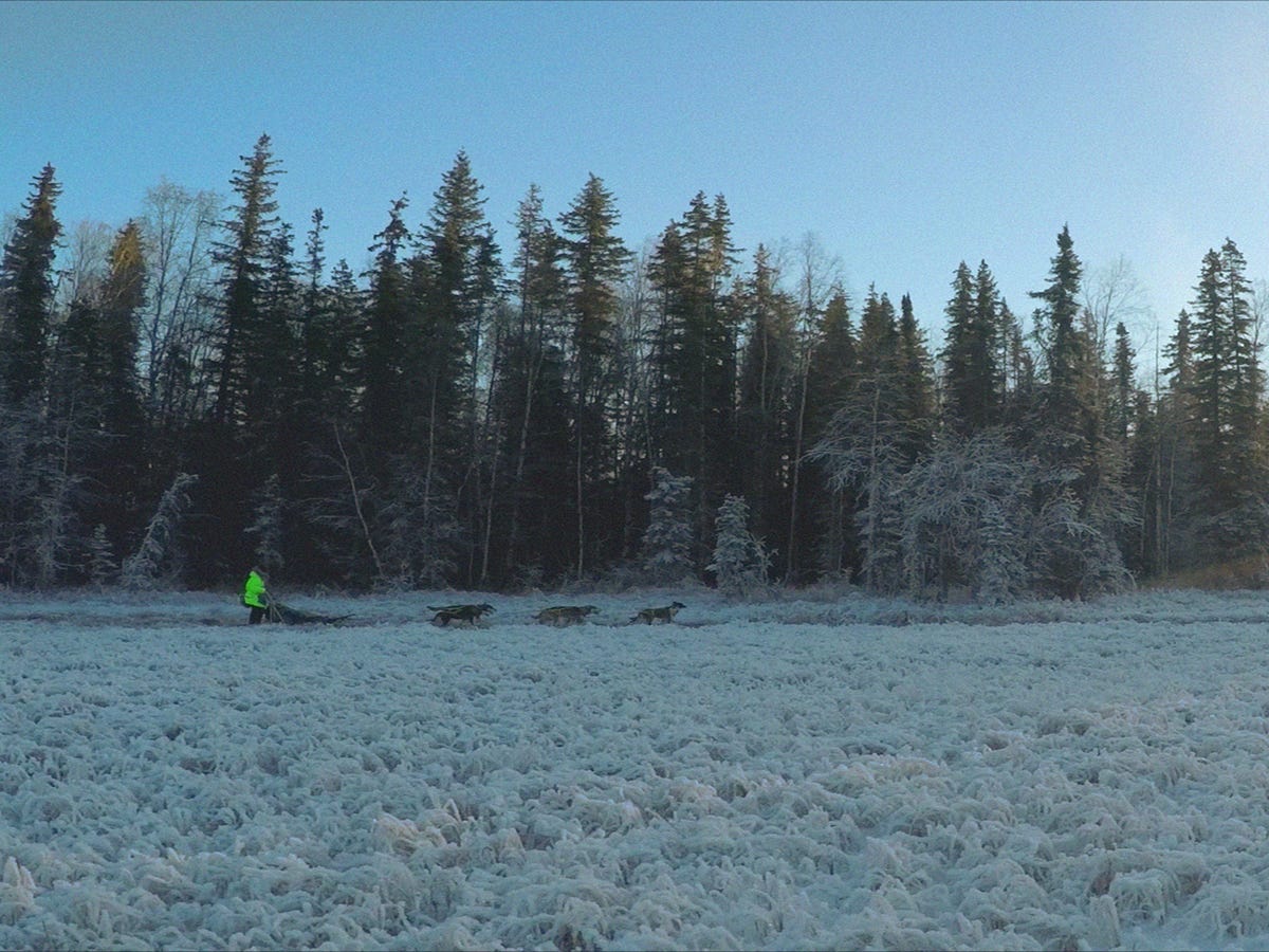 This Alaskan Sled Dog Racer Has Had Quite The Journey