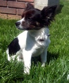 5 Things To Know This AM