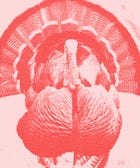 Thanksgiving Horror Stories: 9 Turkey-Day Tales From The Weird Wide Web