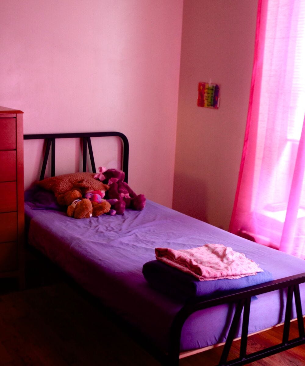 Domestic Violence Safe Horizon Shelter Abuse Survivors