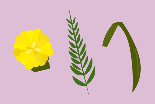 PlantsToKill_slide-04