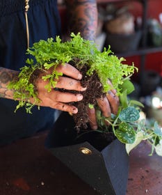 Garden Tech Products - Gardening Technology