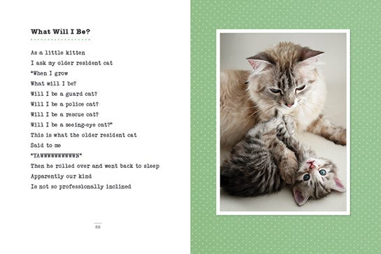 Cat Poetry Knead Mommy Francesco Marciuliano Cat Poetry Knead Mommy Francesco Marciuliano