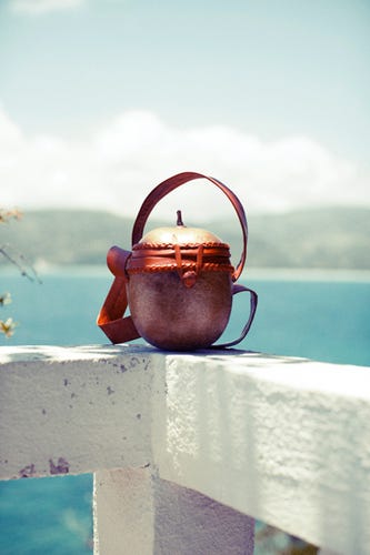 Would You Buy A Bag Made Of Real Fruit?
