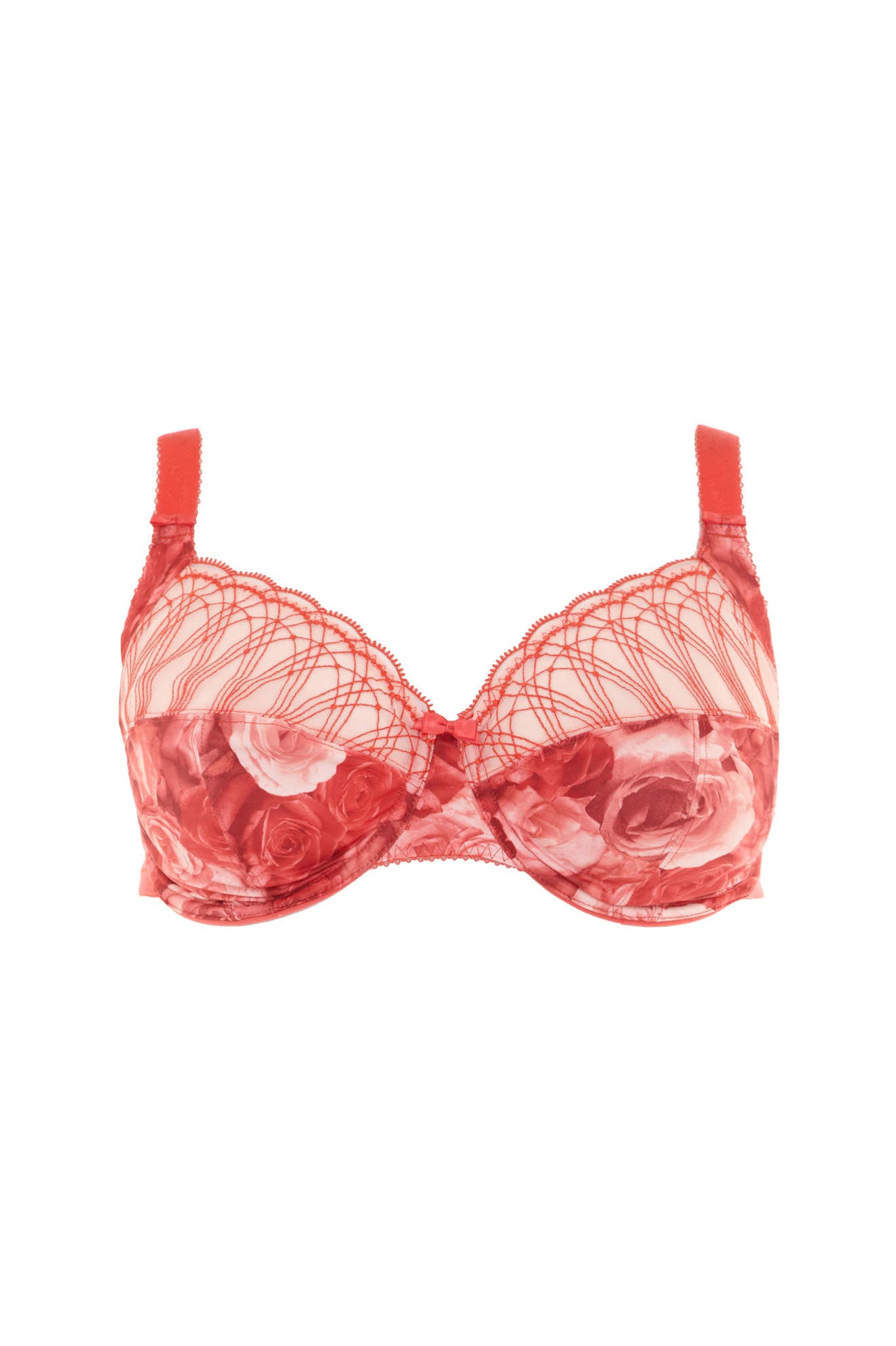 Best Plus Size Lingerie Brands