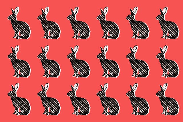 Tortoise_Hare_2