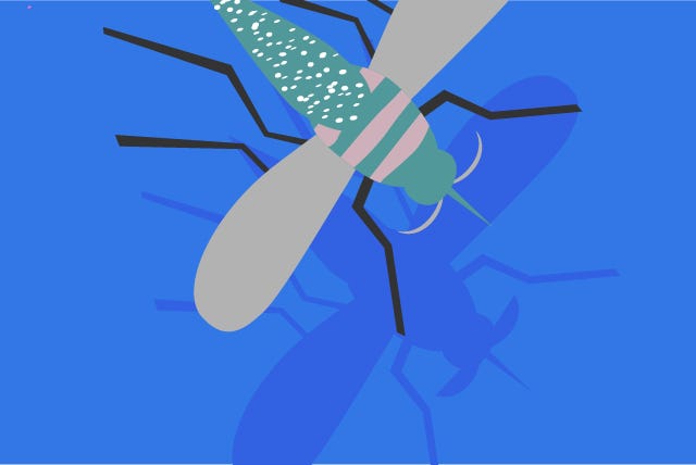 Bug_slide-05