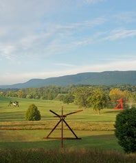 OutdoorsOpener