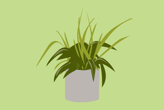 PlantsToKill_slide-02