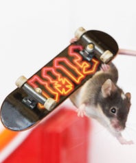 miceOP