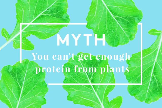 Vegetarian_Myths01