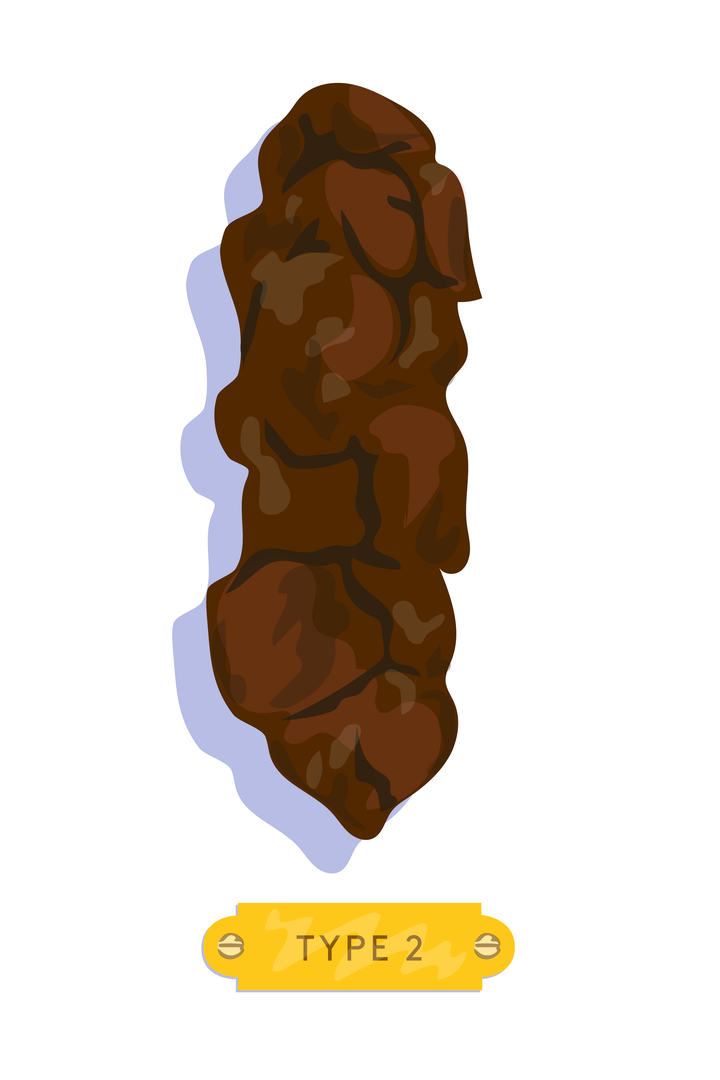 Types Of Poop Meaning Stool Color, Shape, Consistency