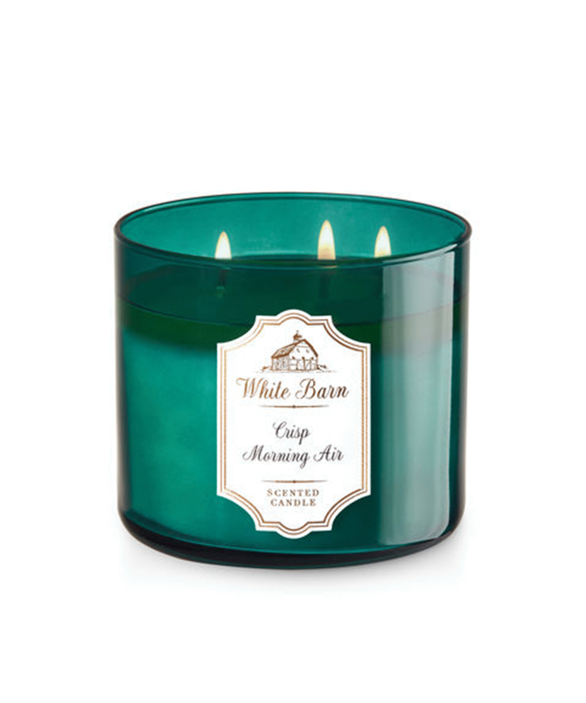 Bath Body Works Fall Candle Sale Leaves Pumpkin Spice