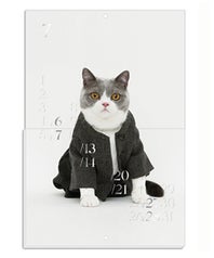 cat-calendar