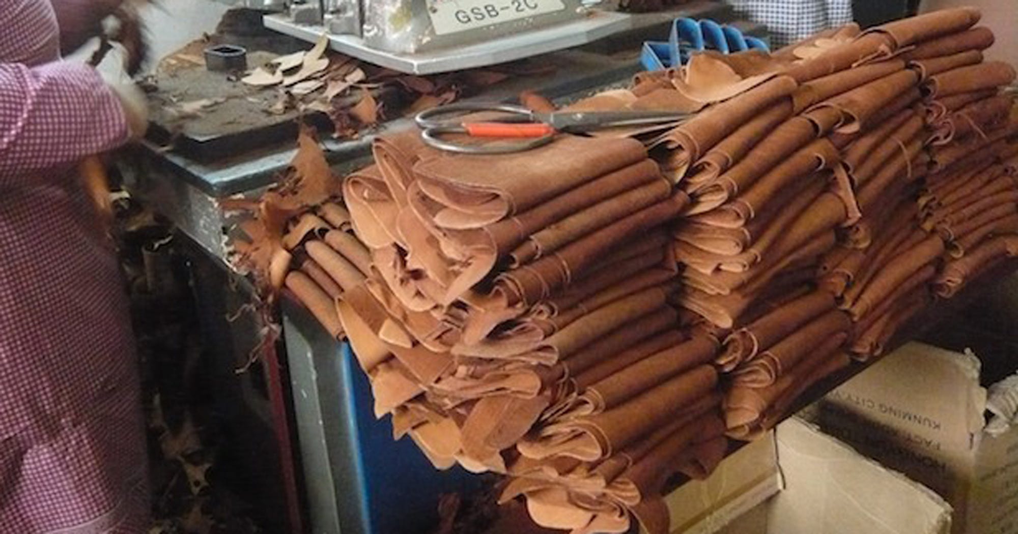 Dog Leather China Animal Rights PETA