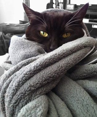 iNFXX_KquNFO_SqejWf0bBFLhjugrR_cWXfPa-AdFCs