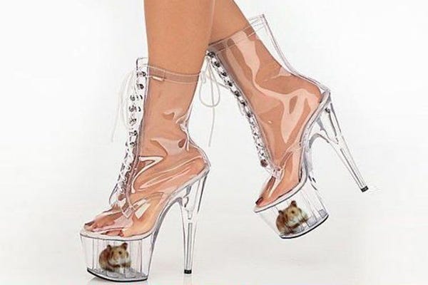 Translucent Hamster Stripper Boot We Cant Imagine What Horrors Would Happen If The Sole Of The Shoe Ever Shattered Translucent Hamster Stripper Boot We Cant Imagine What Horrors Would Happen If The Sole Of The Shoe Ever Shattered