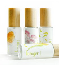 forager-opener