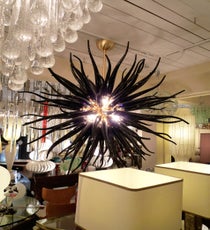 kelly_wearster3_MAIN1