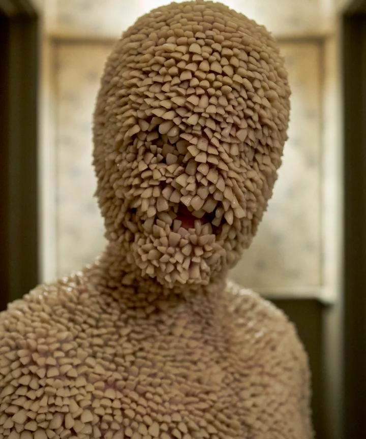 channel zero candle cove