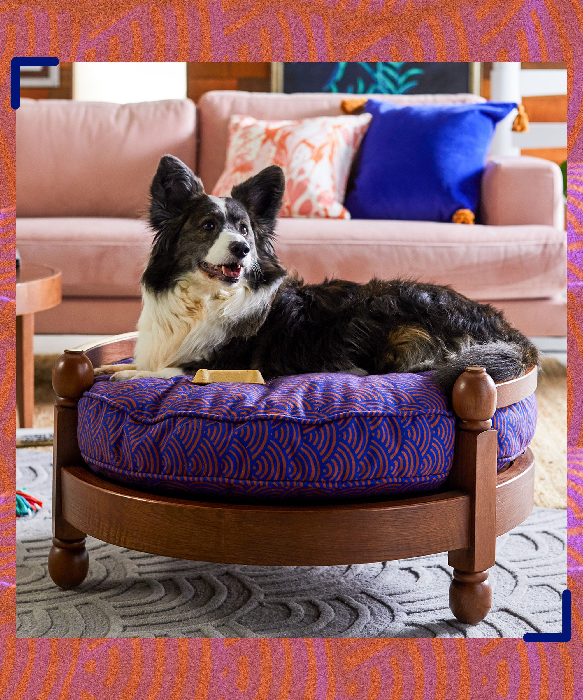 10 National Dog Day Treats That Pets (& Humans) Will Enjoy