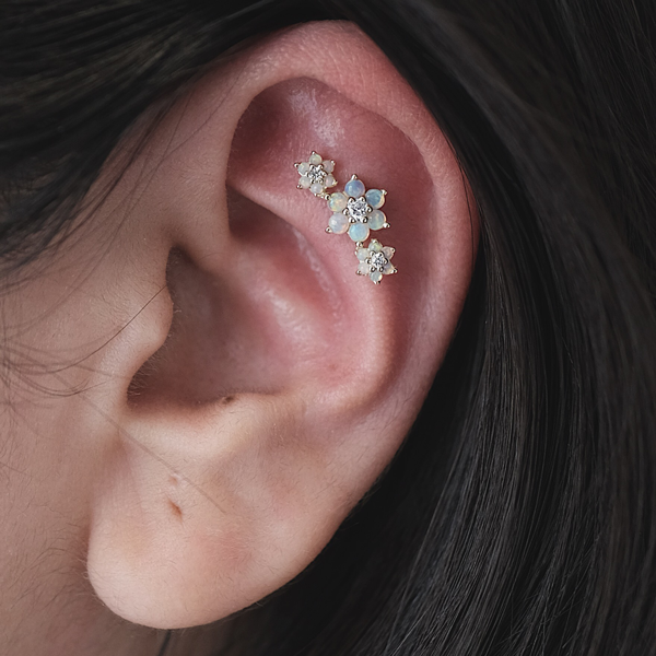 Nyc Piercing Trends Cool Earring Combinations Photos