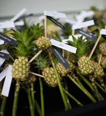 op06r29stylebytes-bonnieburke