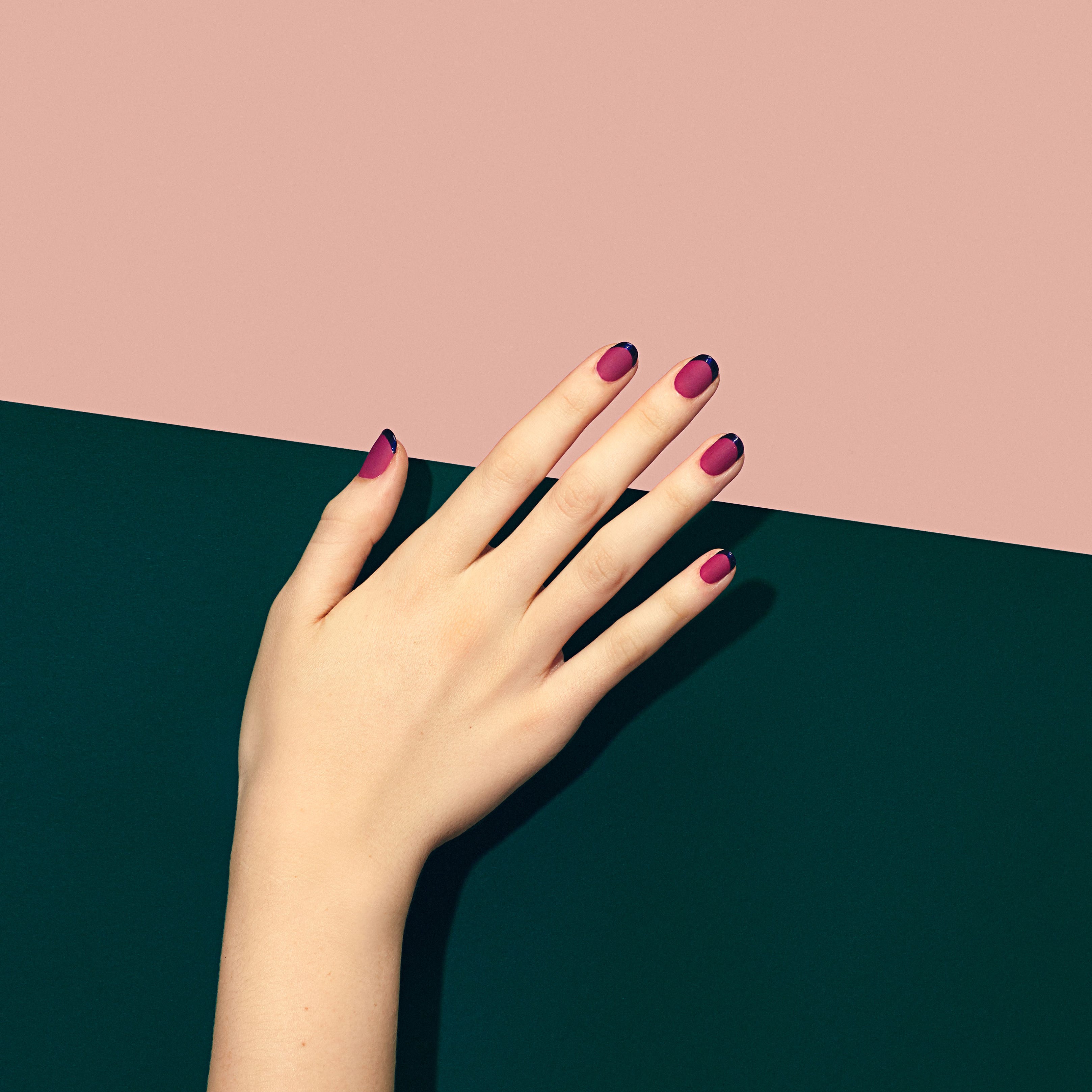 New French Manicure Trend Pictures