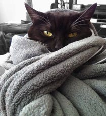 iNFXX_KquNFO_SqejWf0bBFLhjugrR_cWXfPa-AdFCs