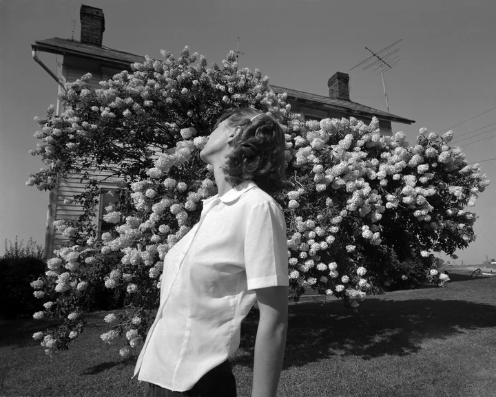 These Photos Tell The Love Story Of A Past Relationship
