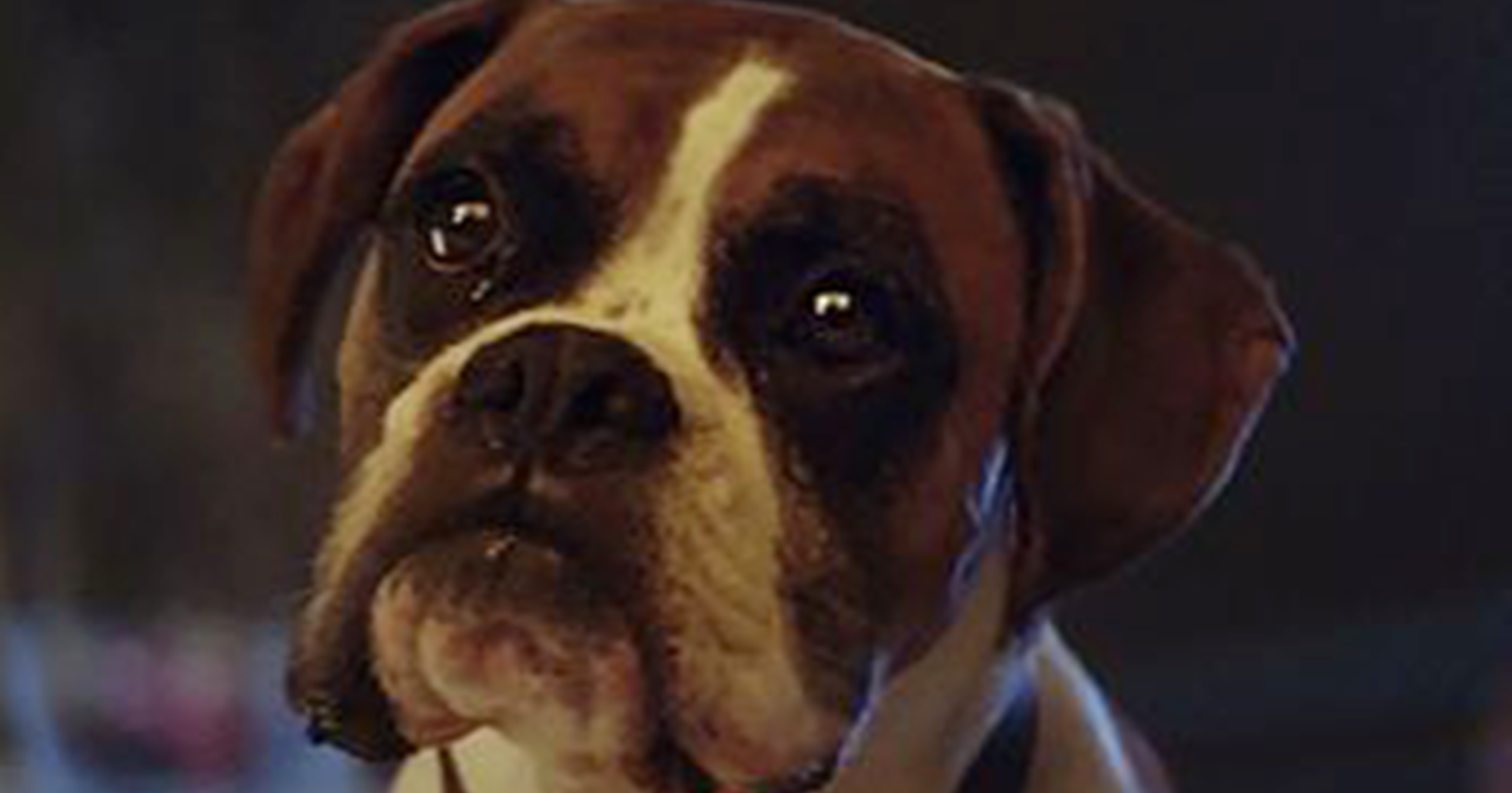 John Lewis Christmas Advert Twitter Reactions