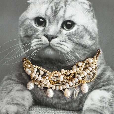 cat jewels