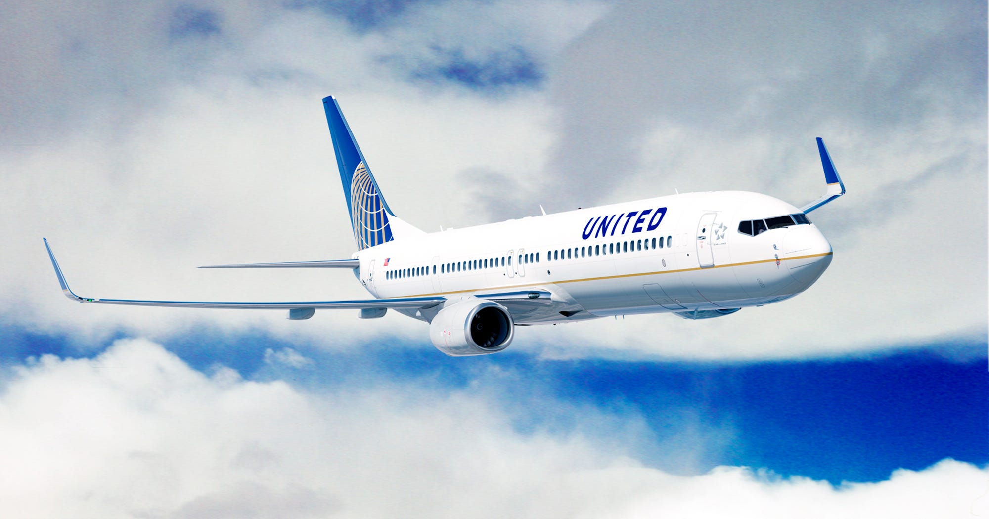 Giant Rabbit Simon Death United Airlines Investigation