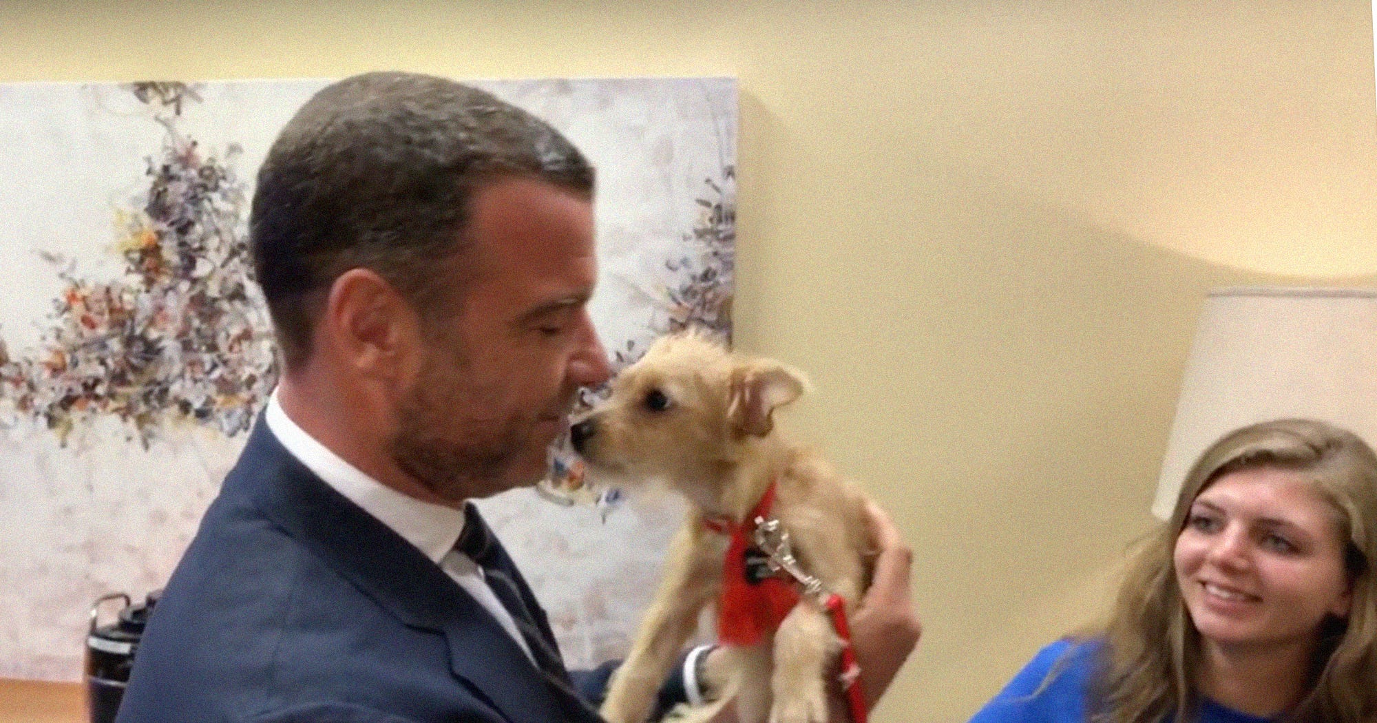 Liev Schreiber Dog Adoptions Hurricane Harvey