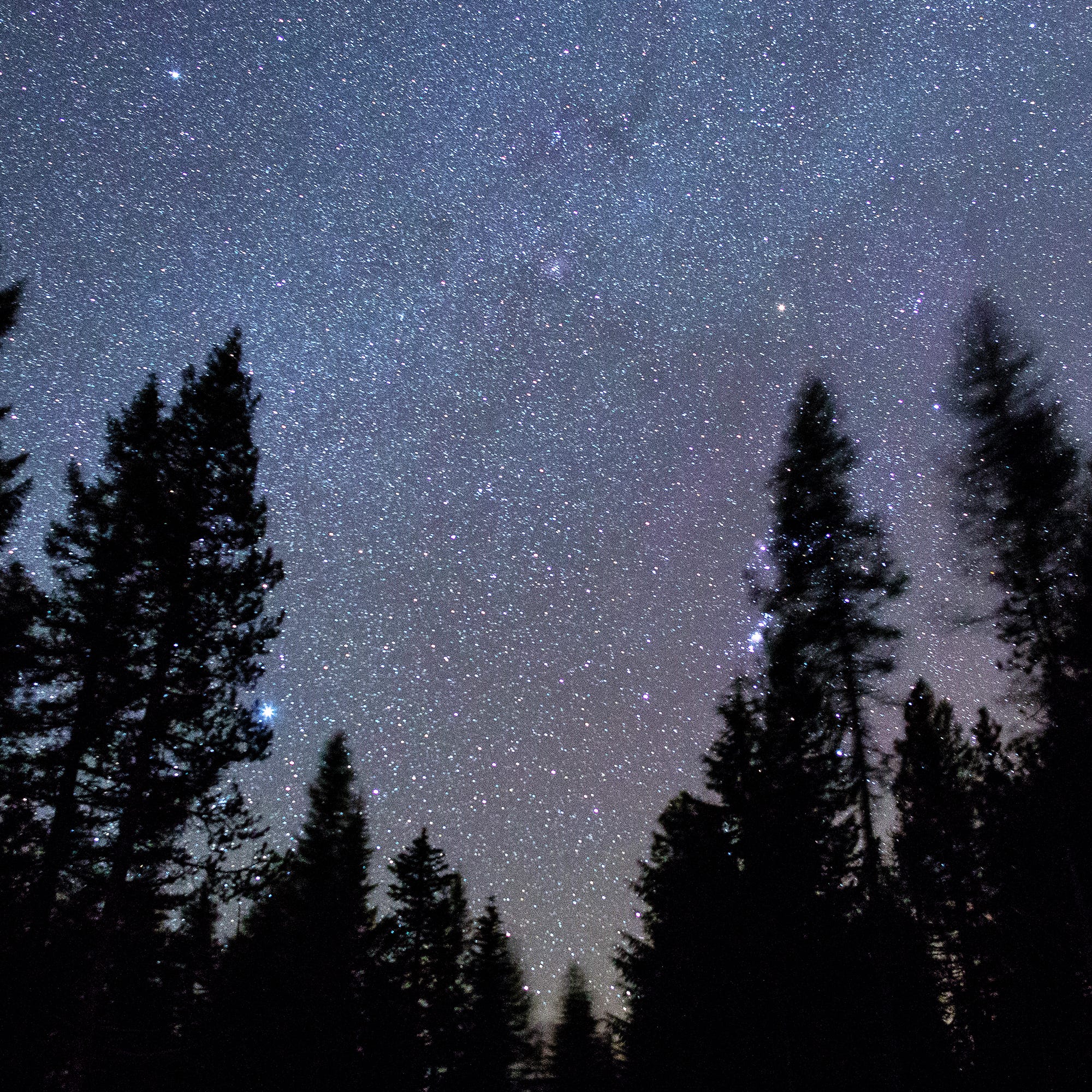 Stars In The Sky Date Romantic Stargazing Date Ideas For Astrology Lovers