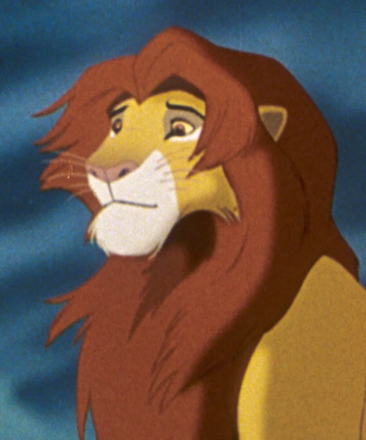 Simba Showcase Verdrietige Simba Vermiste Dieren Almere