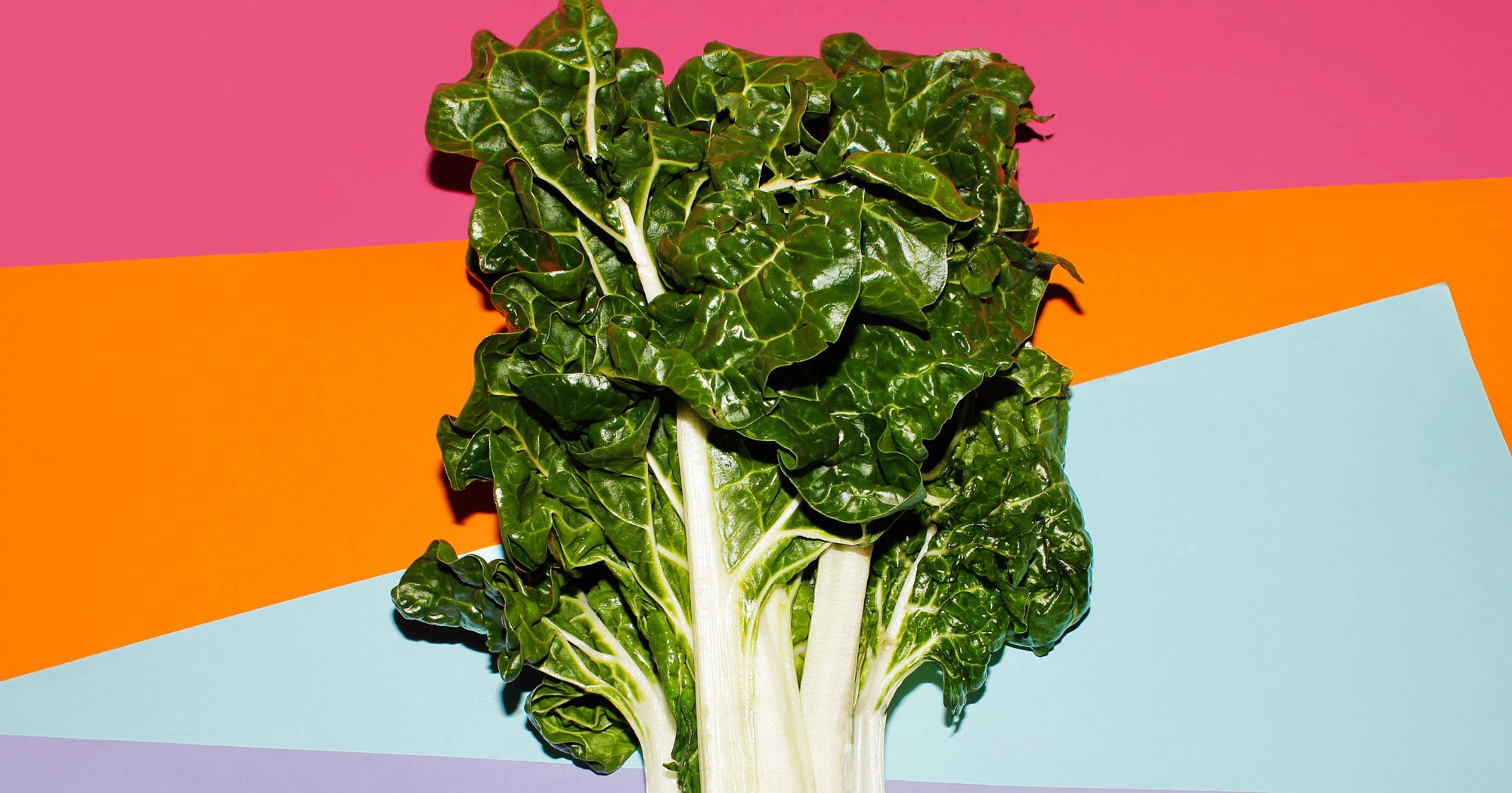Do You Need To Wash Packaged Salad Greens E Coli